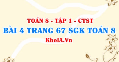Bài 4 trang 67 SGK Toán 8 Tập 1 Chân trời sáng tạo